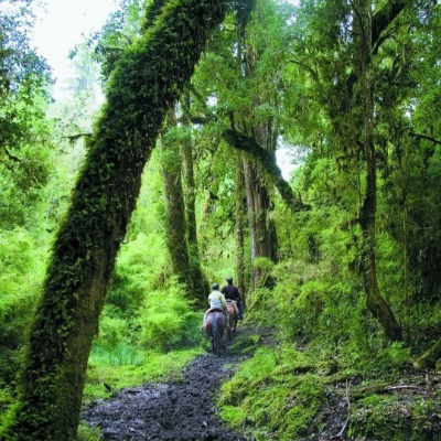 Caminata para bajar el stress