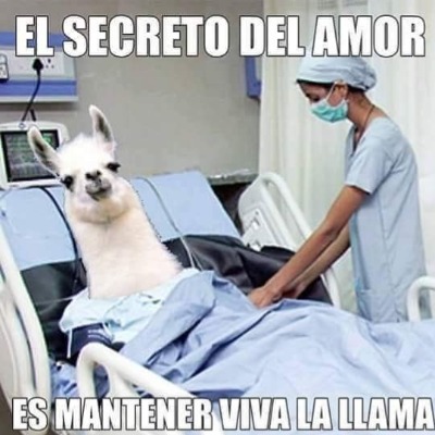 Para mantener viva la llama