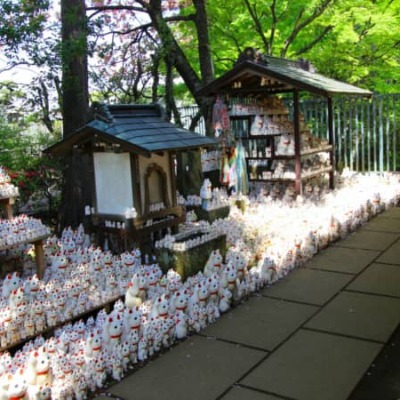 Visita al Templo Gotoku-ji (Templo del gato de la suerte)