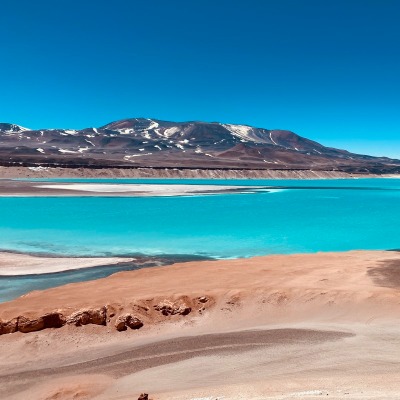 Full day Lagunas de Atacama