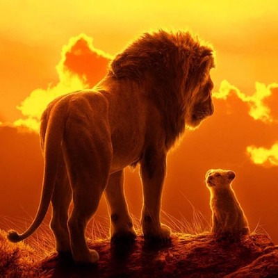 Safari con el Rey León
