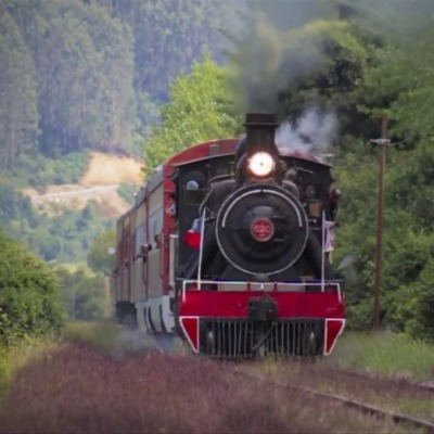 Viaje en Tren valdiviano