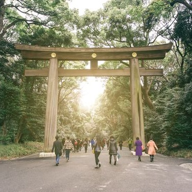 Tour santuario Meiji