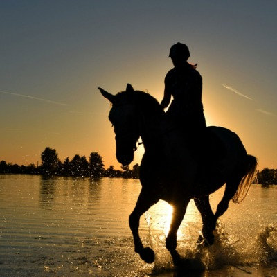 paseo a caballo