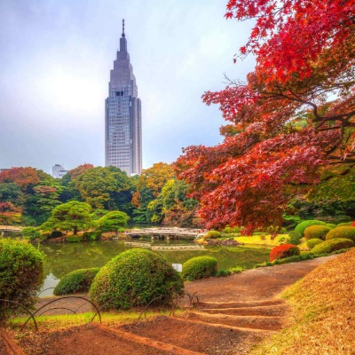 Tour al Jardín Nacional de Shinjuku Gyoen