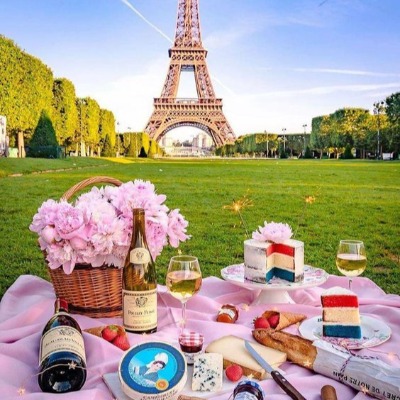 Un picnic en la torre Eiffel