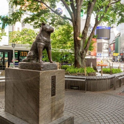 Tour y foto a Estatua Hachiko